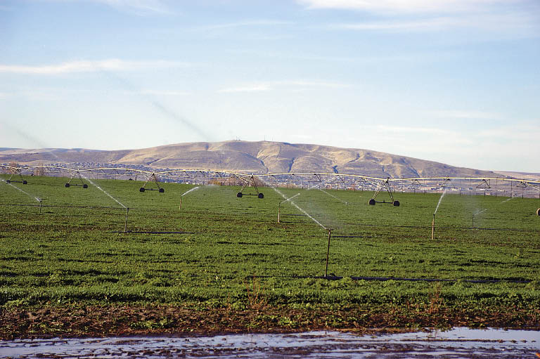 Second Chances Randy Mullen of Pasco, Wash. Potato Grower Magazine